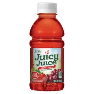 Juicy Juice 100 Percent Fruit Punch Juice